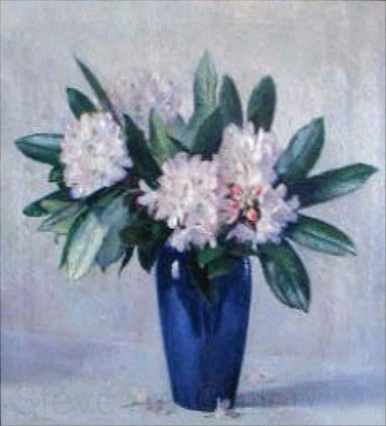 unknow artist Rhododendrons by Clara Burbank Spain oil painting art